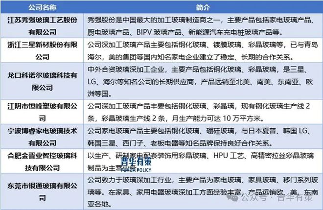 家电玻璃行业细分市场分析及投资前景预测报告人生就是博-尊龙凯时2025-2031